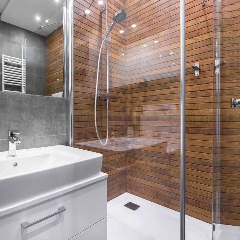 Stylish Shower Renovation